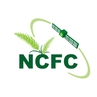 LogoNCFC