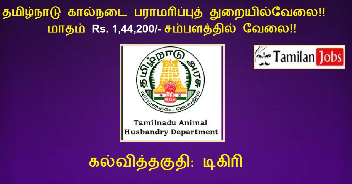 TNAHD Selam Recruitment 2022
