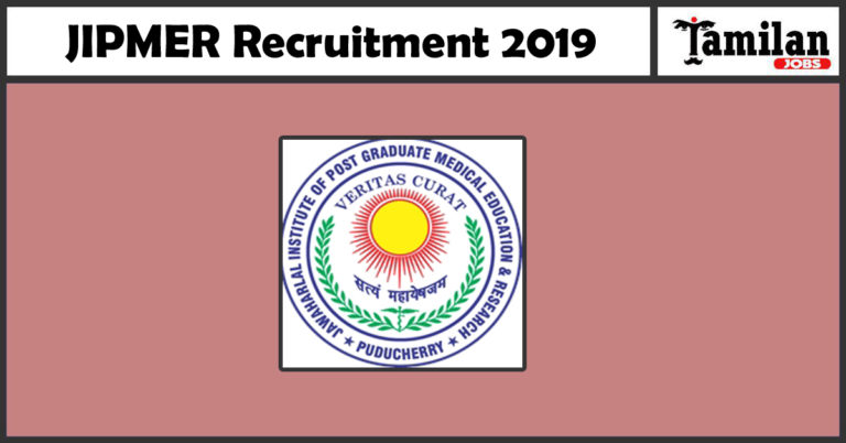 JIMPER Recruitment 2019