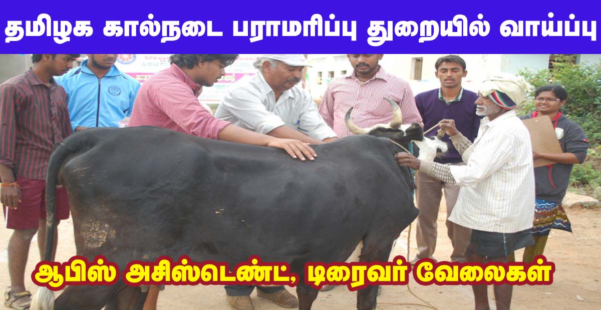 TNAHD Trichy Recruitment 2019 - Apply Online 05 Driver, Office Assistant Posts TNAHD Trichy Recruitment 2019 - Apply Online 05 Driver, Office Assistant Posts