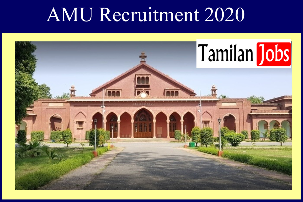 Amu Recruitment 2020