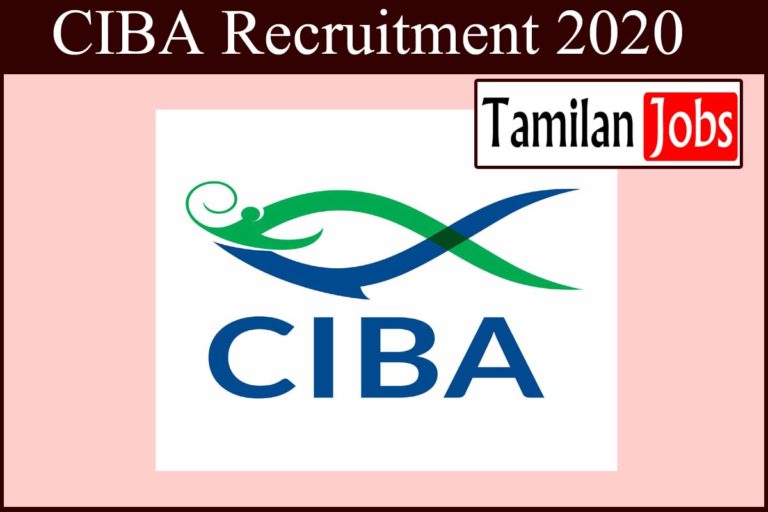 CIBA Recruitment 2020