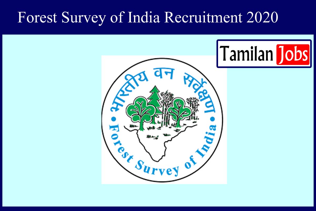 Forest Survey Of India Recruitment 2020