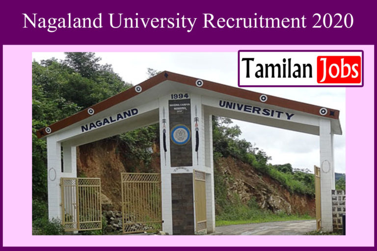 Nagaland University Recruitment 2020 Out – Apply JRF Jobs