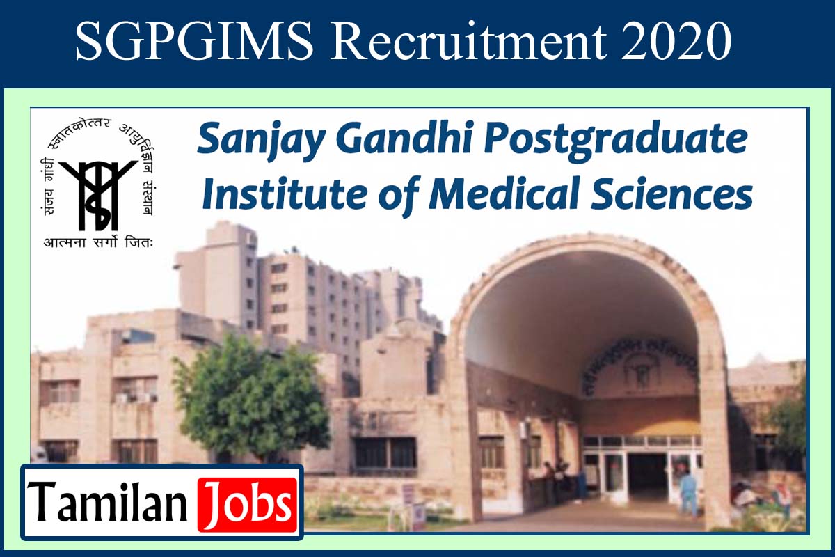 SGPGIMS Recruitment 2020