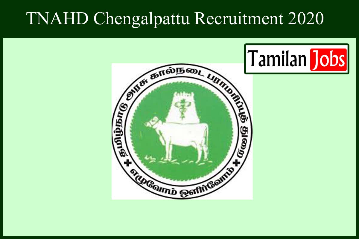 Tnahd Chengalpattu Recruitment 2020 Out - Office Assistant Jobs