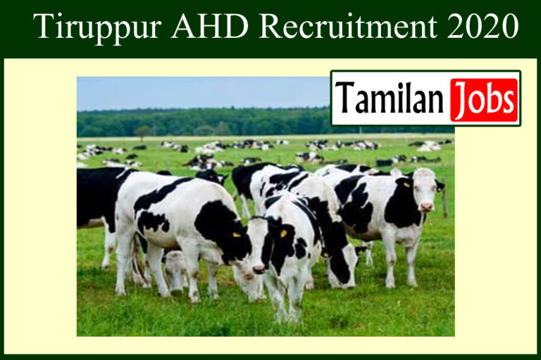 Tiruppur AHD Recruitment 2020