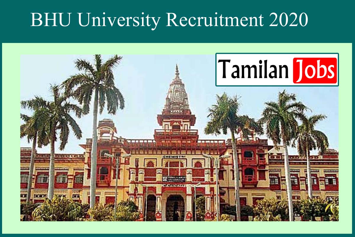 Bhu University Recruitment 2020