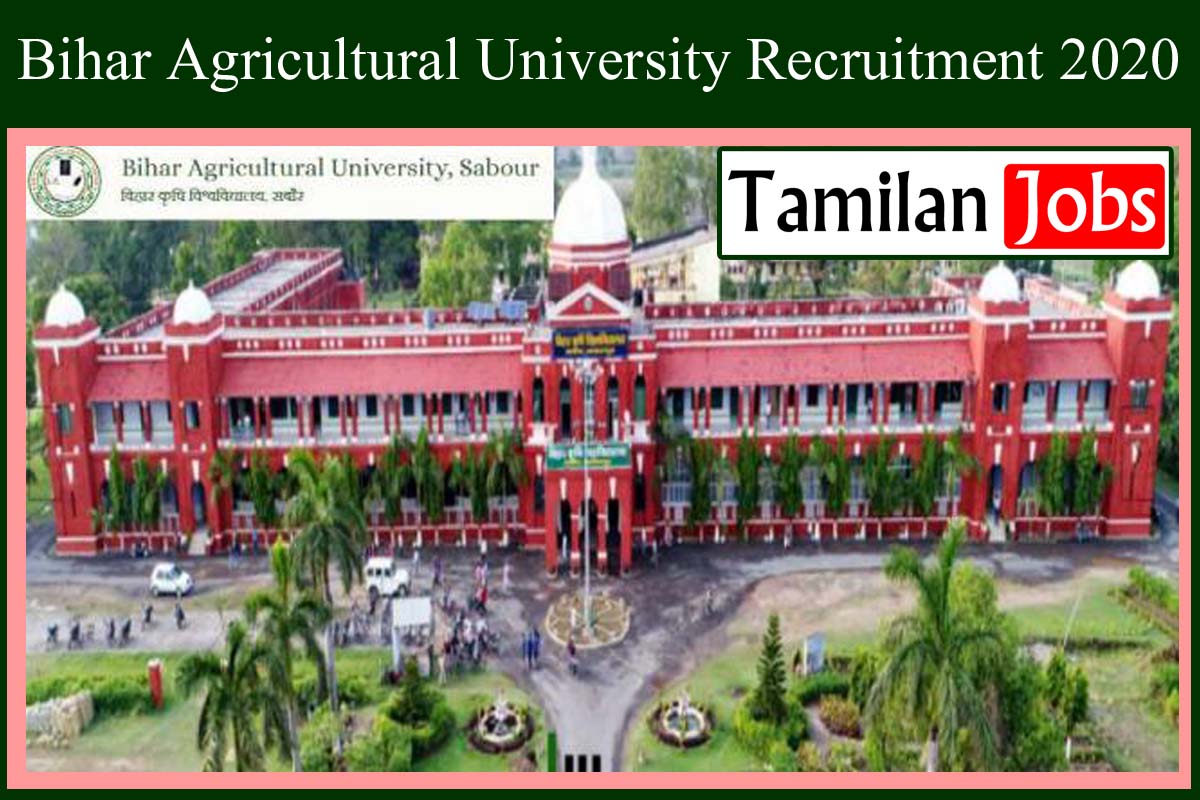 Bihar Agricultural University Recruitment 2020