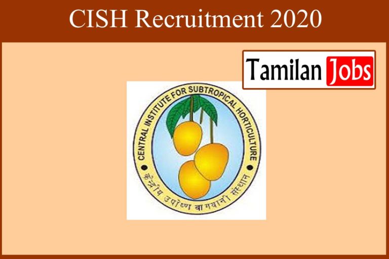 CISH Recruitment 2020