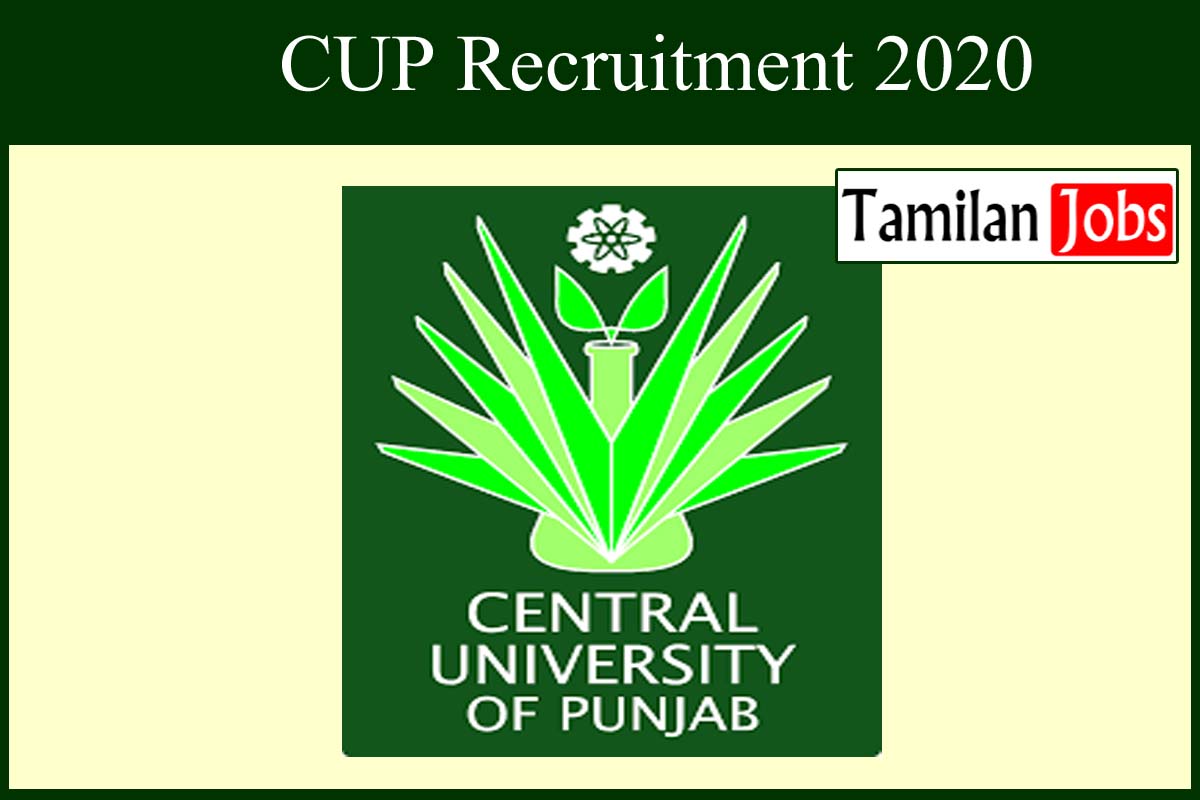 Cup Recruitment 2020