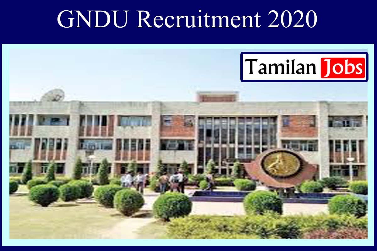 GNDU Recruitment 2020