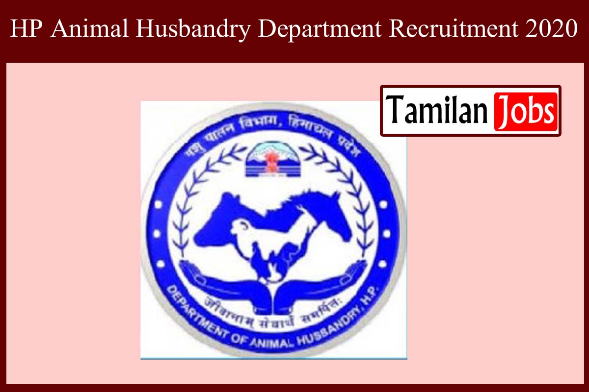 HP Animal Husbandry Department Recruitment 2020