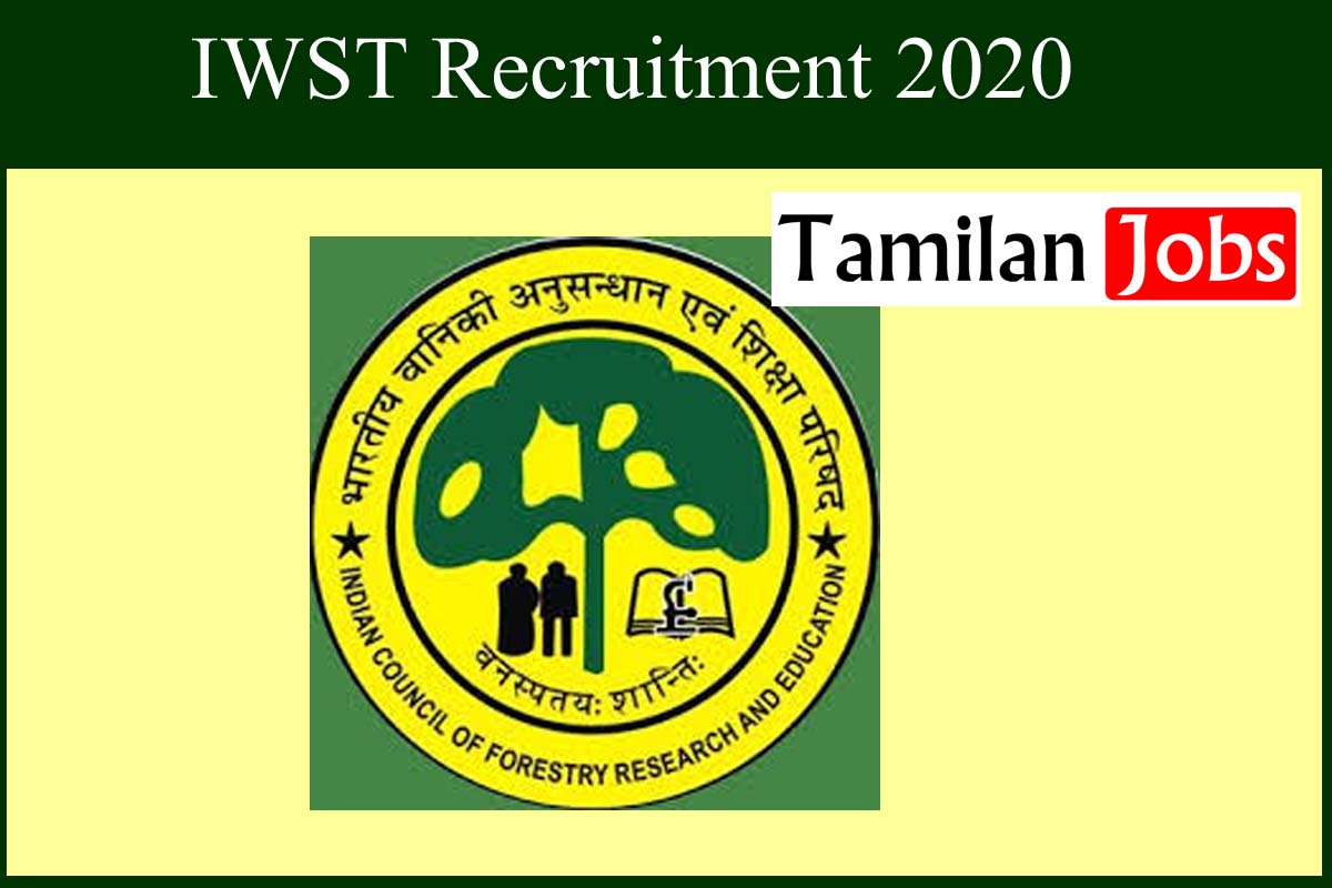 IWST Recruitment 2020