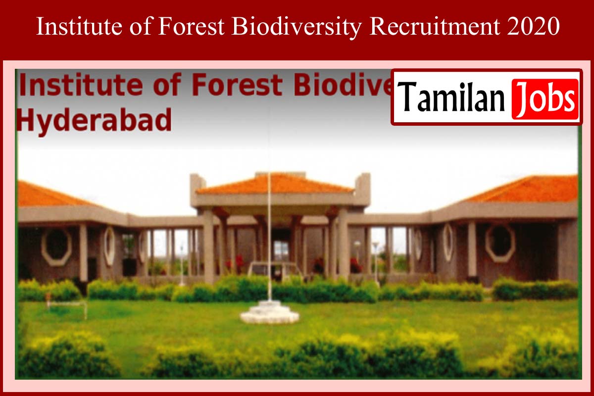 Institute of Forest Biodiversity Recruitment 2020