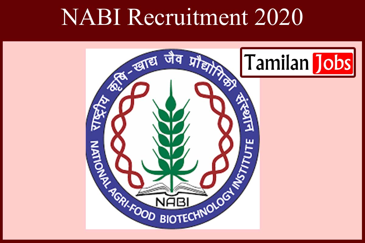 NABI Recruitment 2020