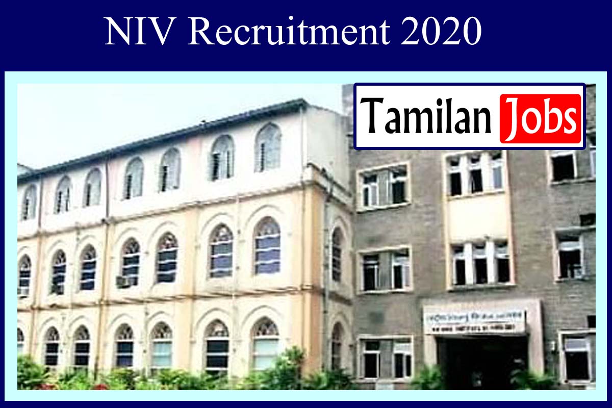 NIV Recruitment 2020