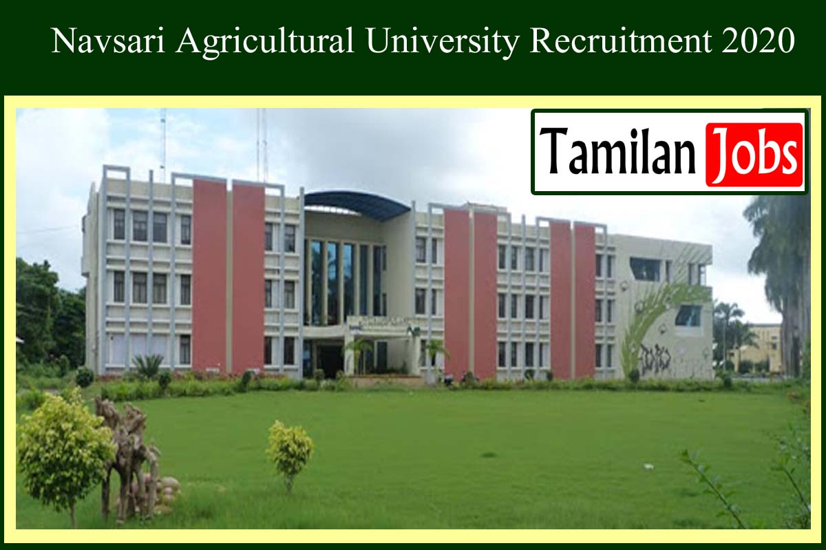 Navsari Agricultural University Recruitment 2020