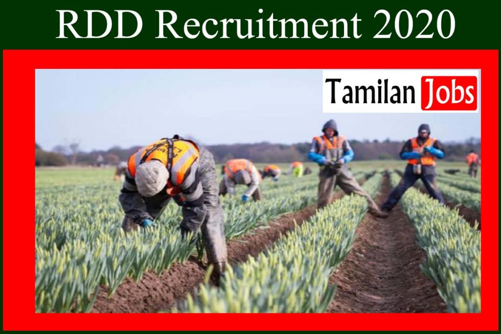 Rdd Recruitment 2020