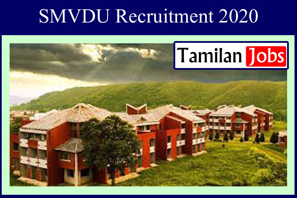 SMVDU Recruitment 2020