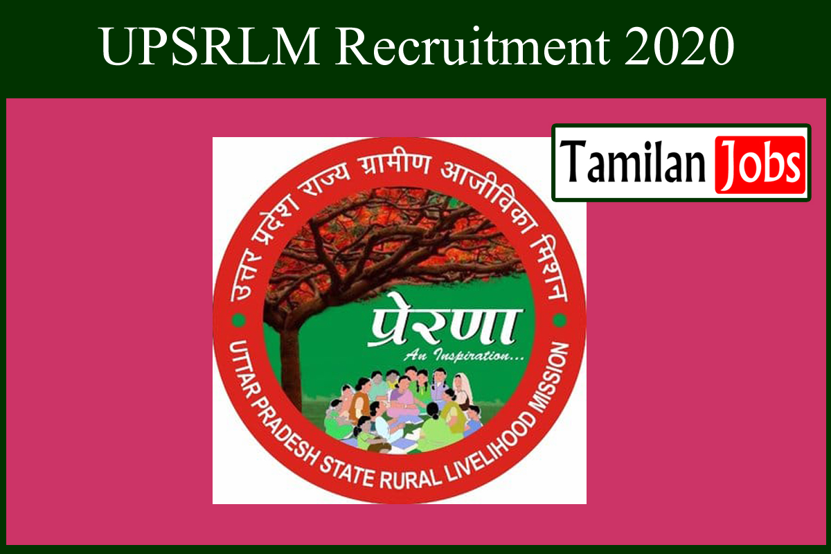 UPSRLM Recruitment 2020