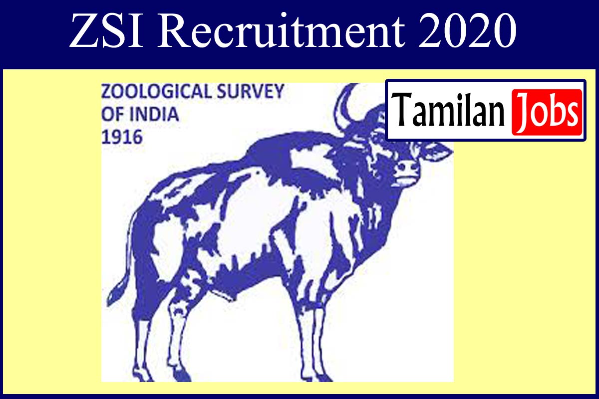 Zsi Recruitment 2020