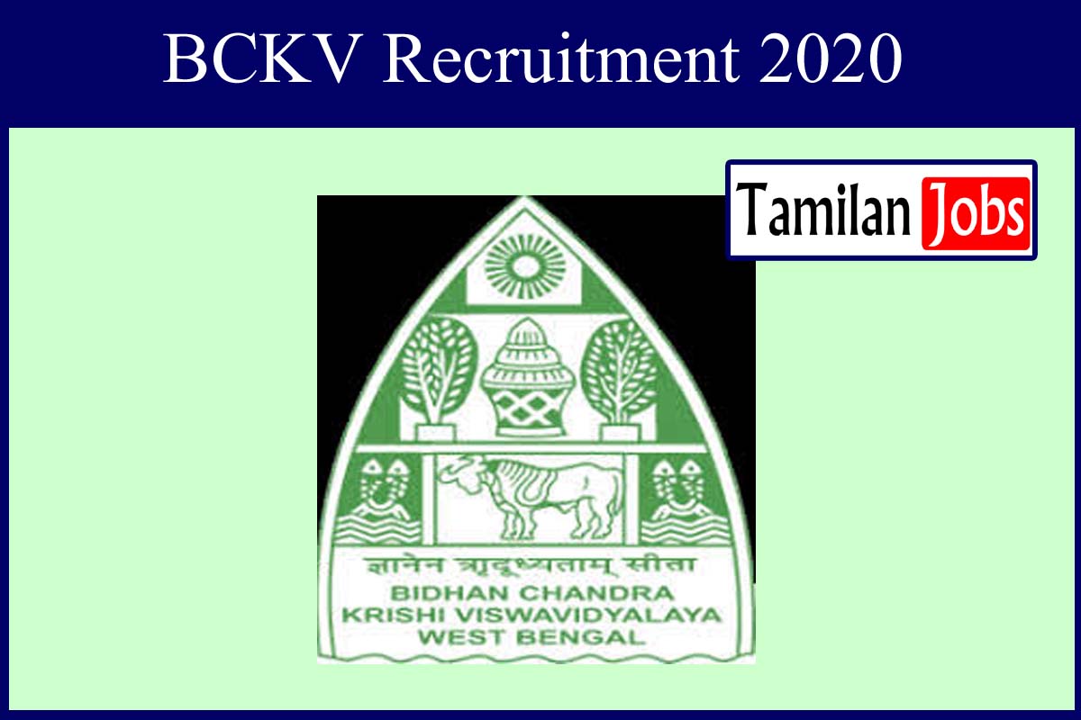 Bckv Recruitment 2020