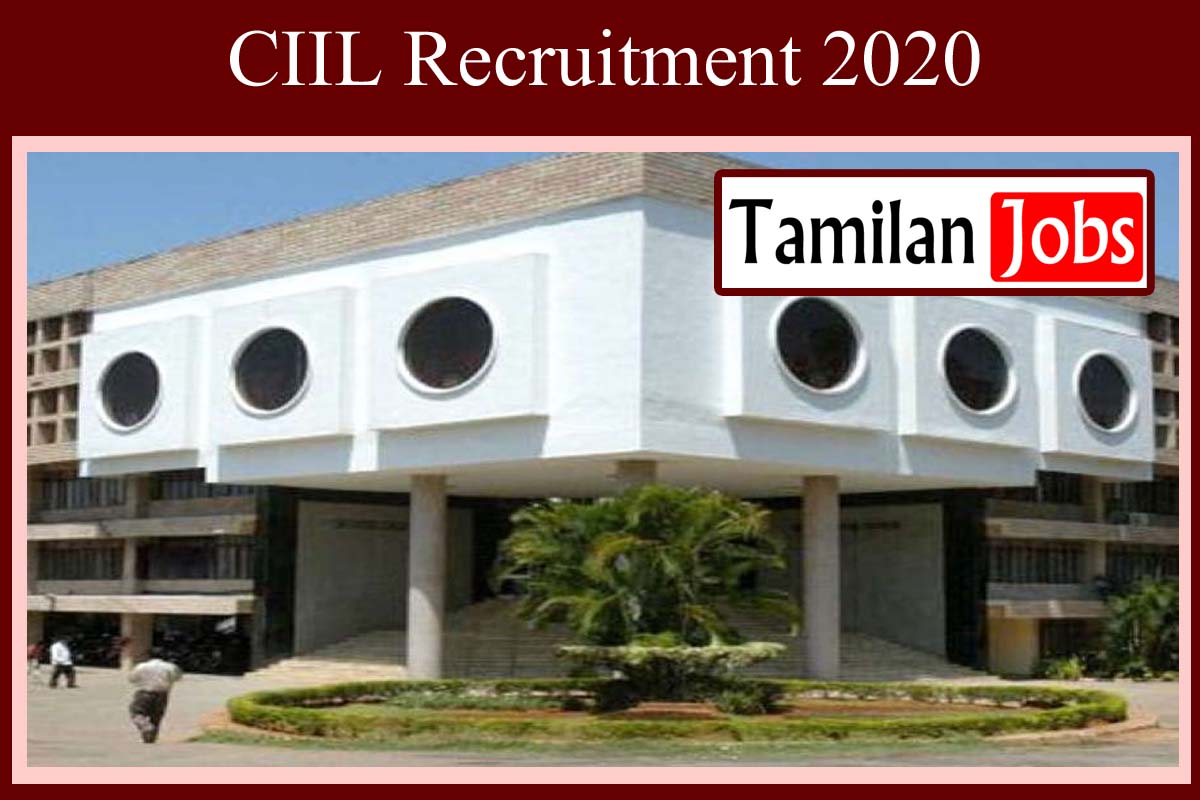 CIIL Recruitment 2020