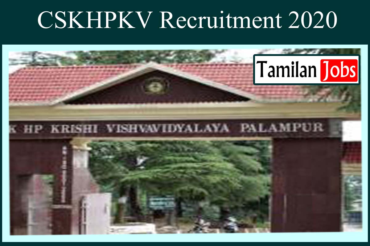 CSKHPKV Recruitment 2020