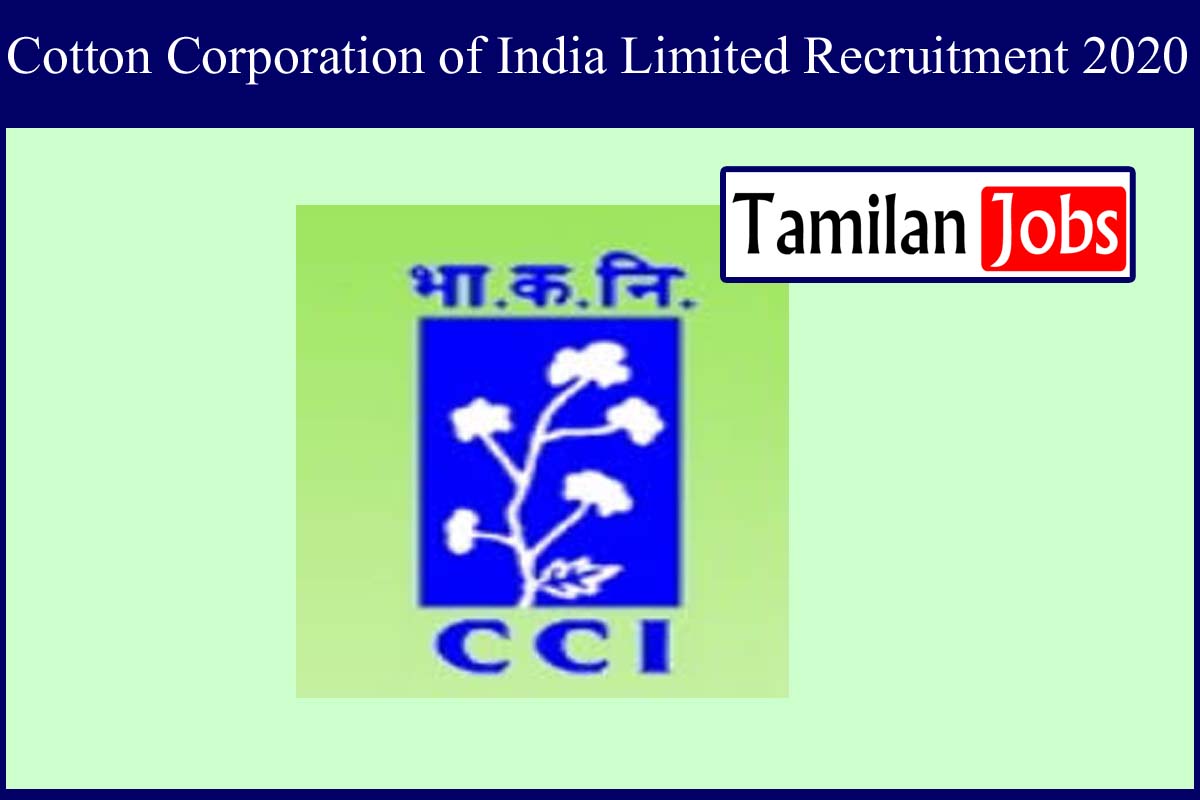 Cotton Corporation of India Limited Recruitment 2020