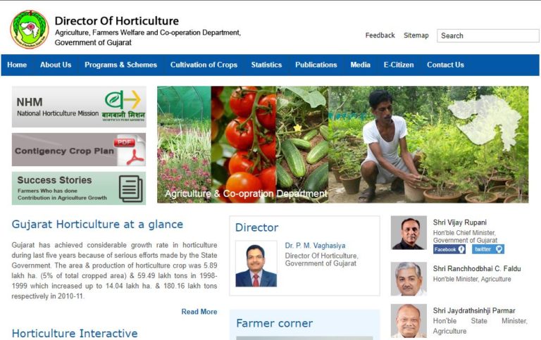 Gujarat Horticulture Field Consultant Result 2020