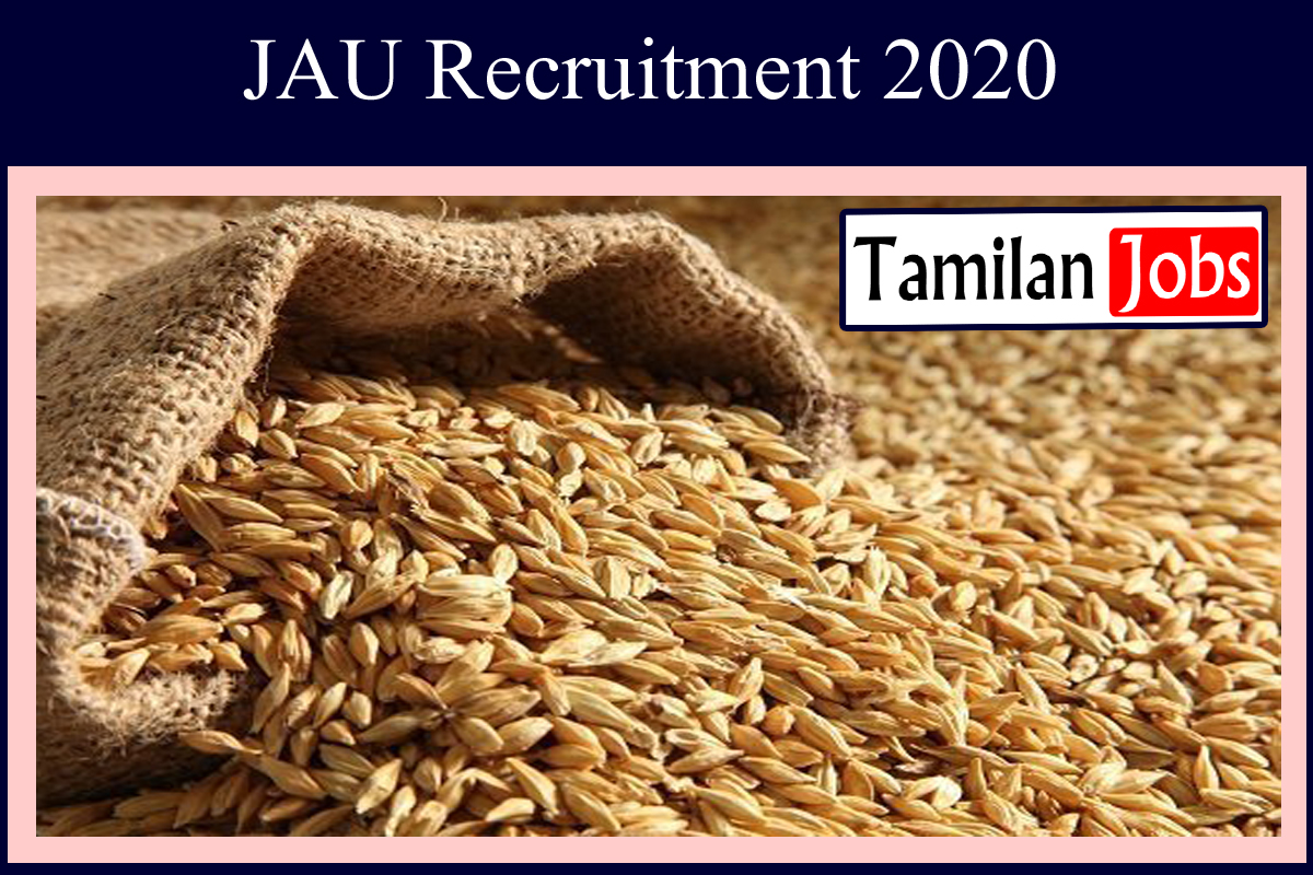 JAU Recruitment 2020