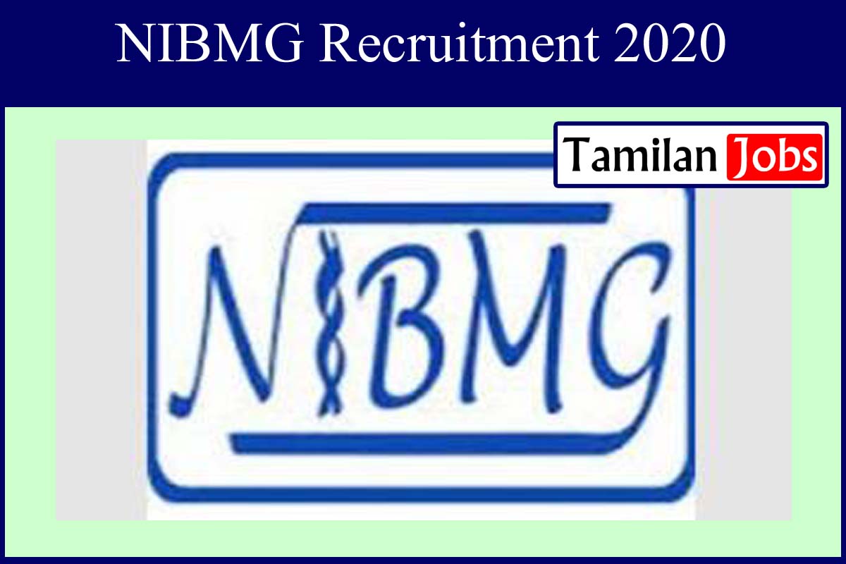 NIBMG Recruitment 2020