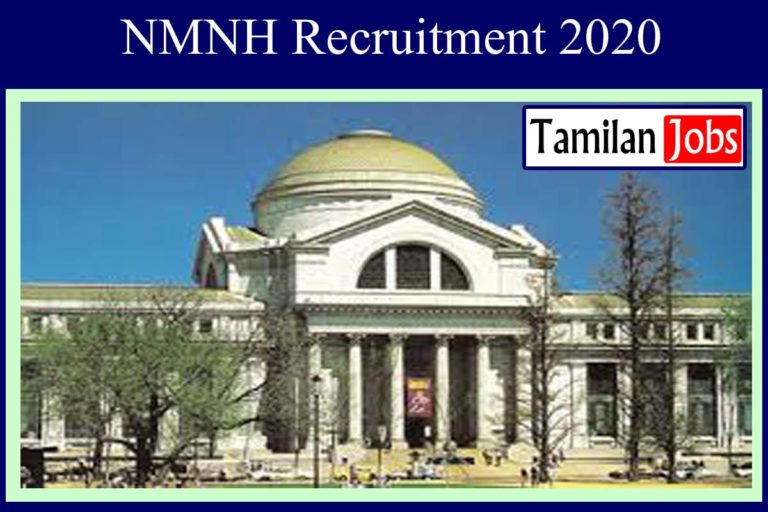 NMNH Recruitment 2020