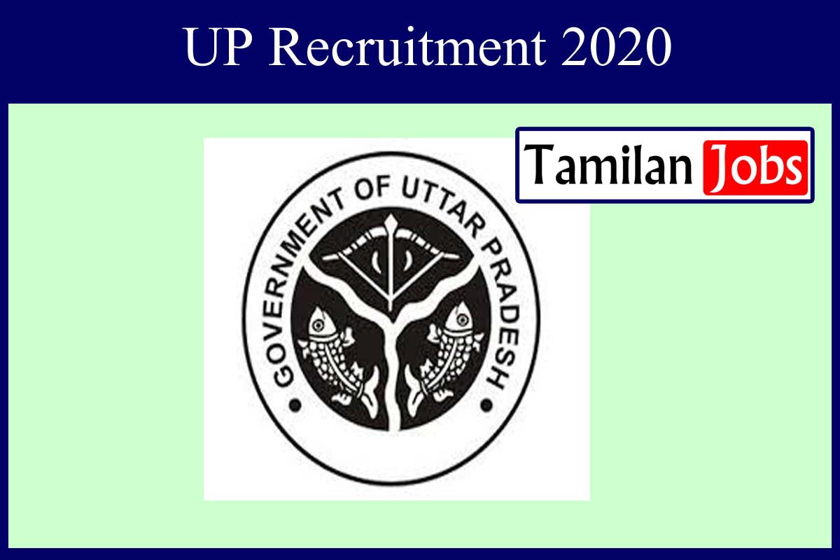 UP Recruitment 2020