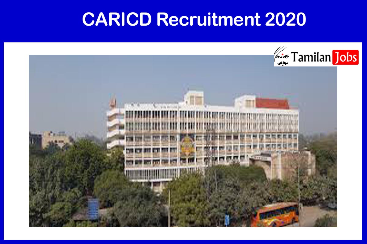 Caricd Recruitment 2020 Out -Candidates Can Apply For Srf Jobs