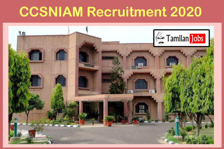 CCSNIAM Recruitment 2020 Out | Degree Candidates Apply For Personal Assistant & Others Jobs