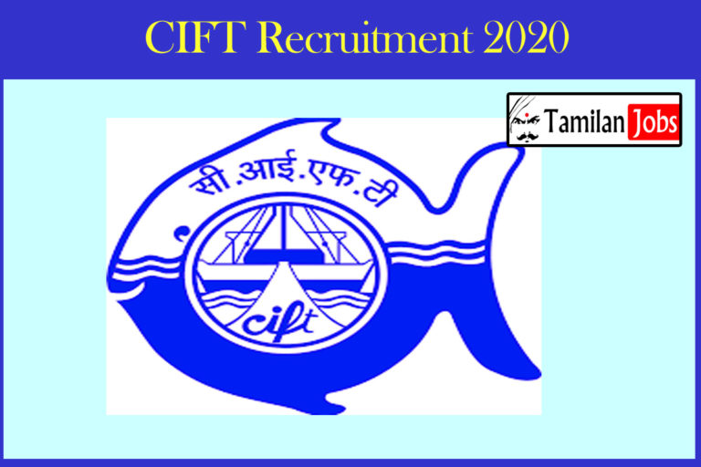 CIFT Recruitment 2020 Out – Degree Candidates Can Apply For Research Associate Jobs