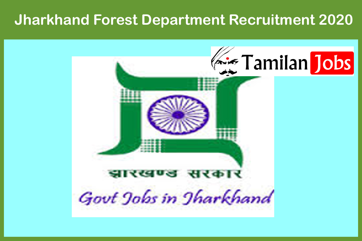 Jharkhand Forest Department Recruitment 2020 Out | Candidates Can Apply For 400 Forest Guard Jobs