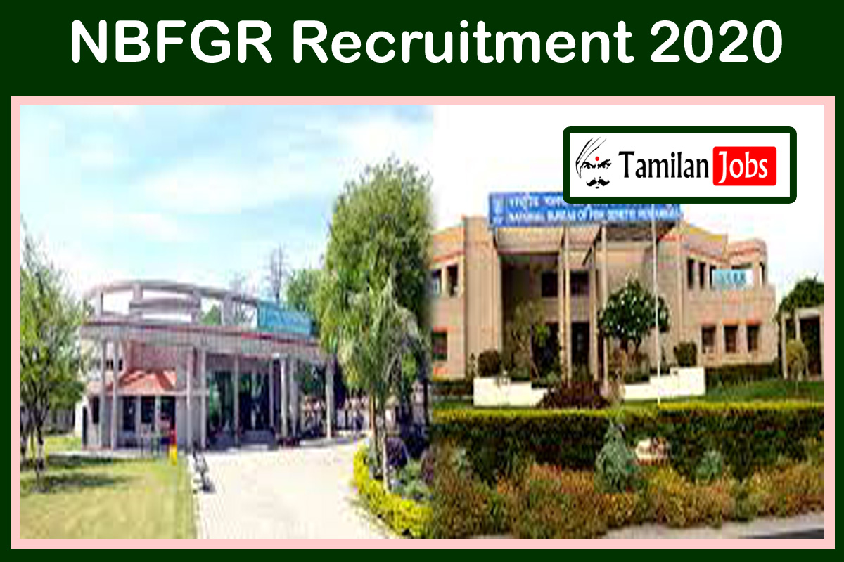 NBFGR Recruitment 2020