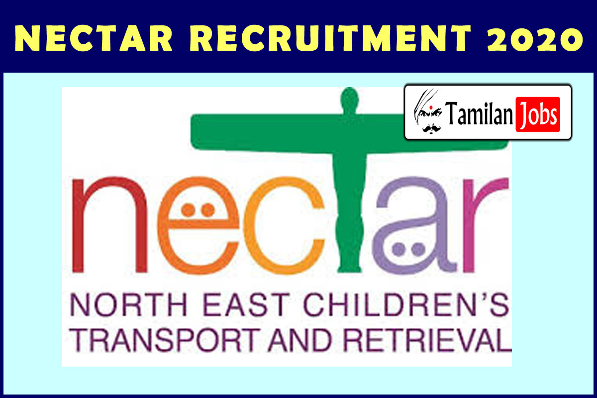 NECTAR Recruitment 2020