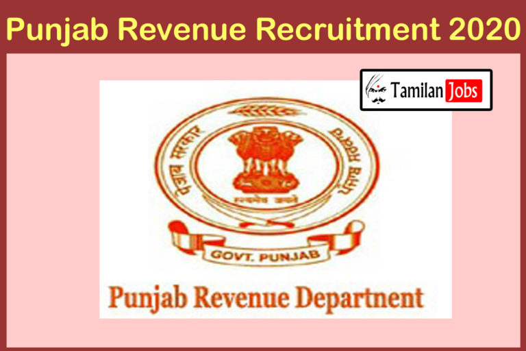 Punjab Revenue Recruitment 2020 Out | Degree Complited Candidates Can Apply For 25 Professional Graduate & Accountant Jobs