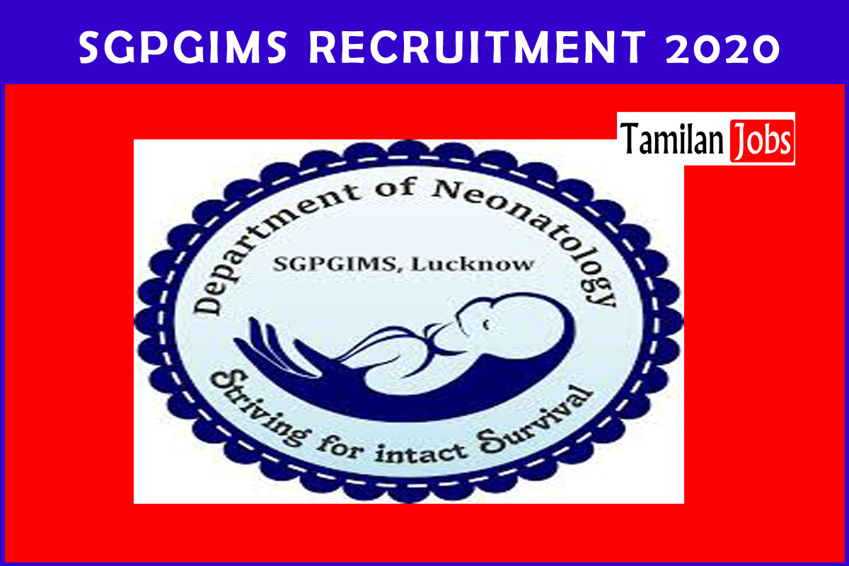 Sgpgims Recruitment 2020