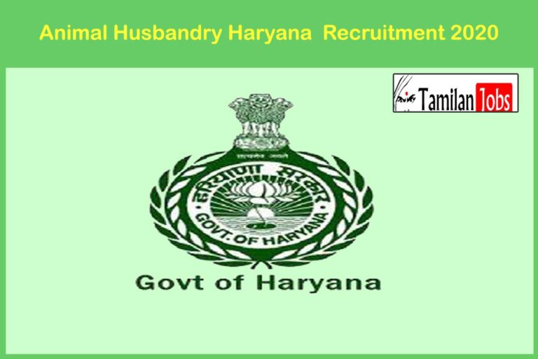 Animal Husbandry Haryana Recruitment 2020 Out – Apply 28 Project Coordinators Jobs