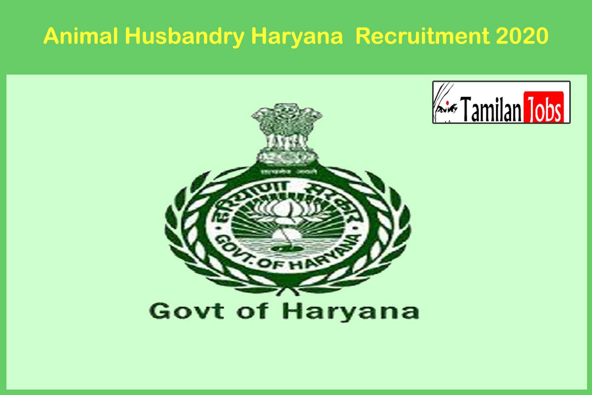 Animal Husbandry Haryana Recruitment 2020 Out - Apply 28 Project  Coordinators Jobs