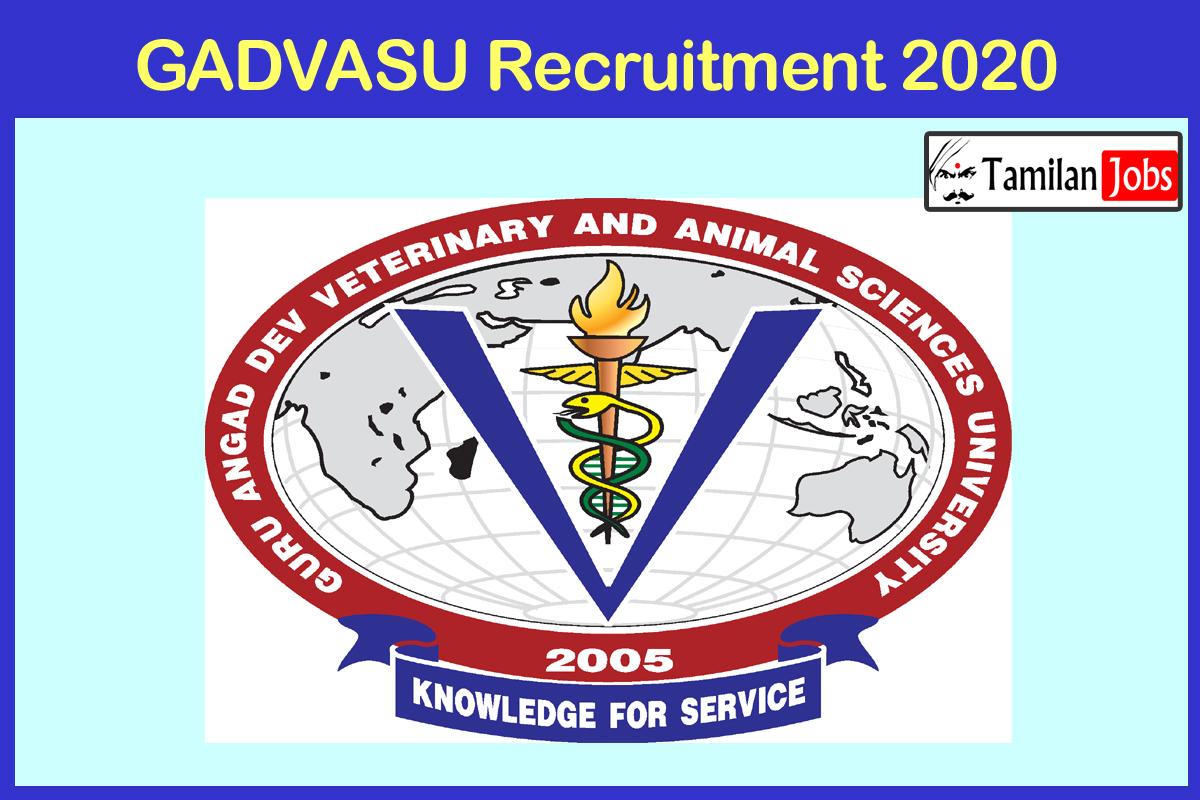 Gadvasu Recruitment 2020 Out -Experience Candiadtes Can Apply For 28 Teaching And Non Teaching Jobs