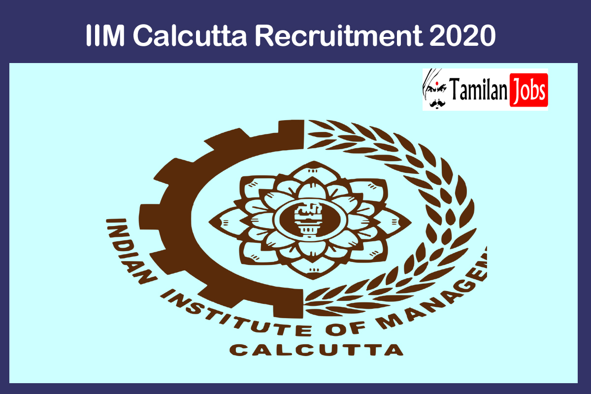 Iim Calcutta Recruitment 2020 Out - Apply For Digital Transformation Officer Jobs