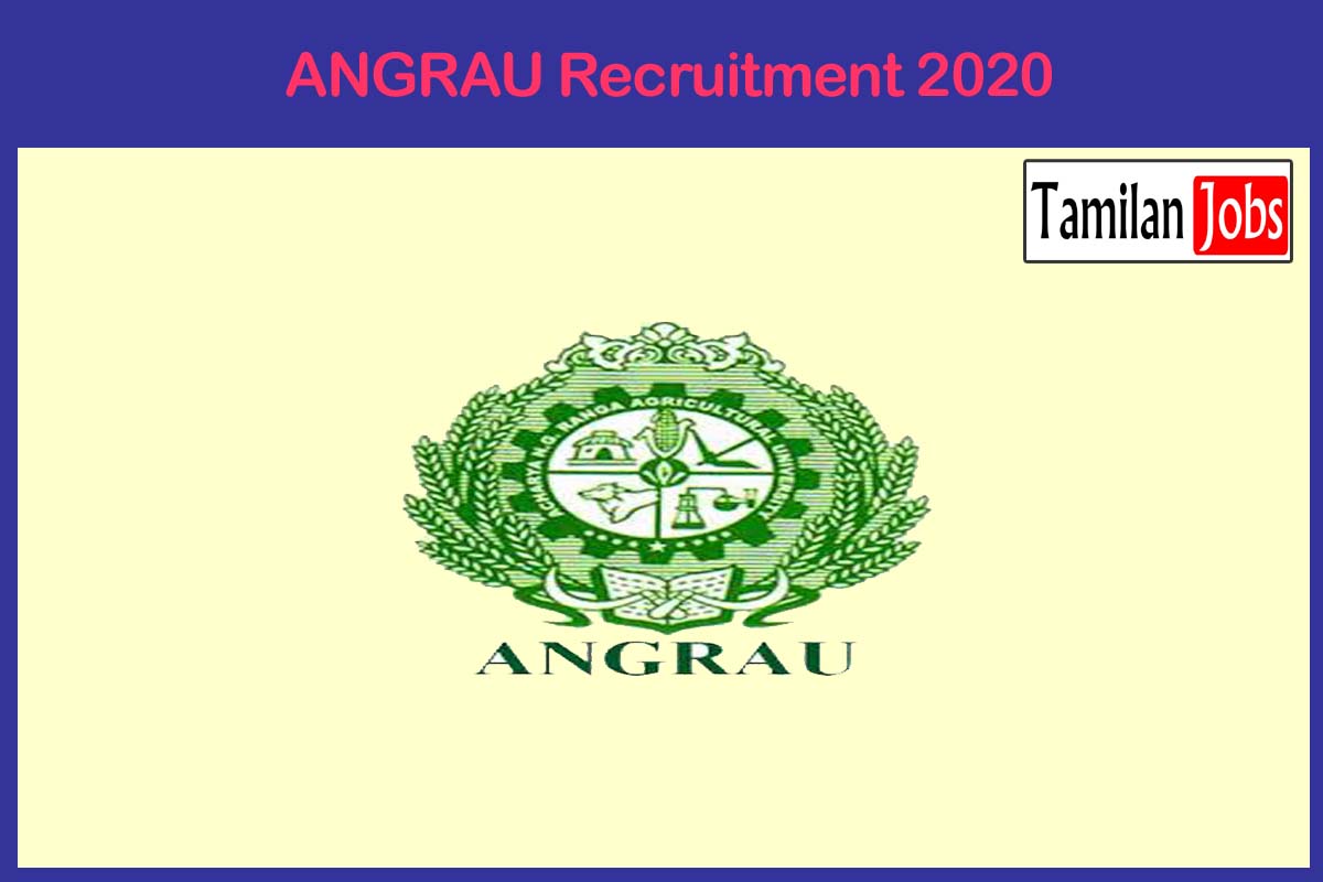 Angrau Recruitment 2020 
