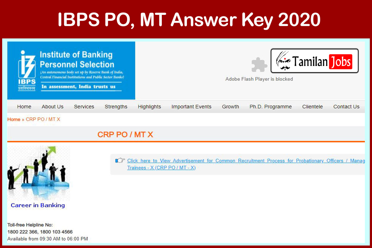 Ibps Po, Mt Answer Key 2020