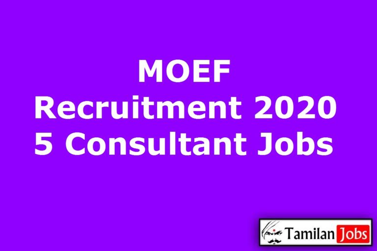 MOEF Recruitment 2020 Out Apply 5 Consultant Jobs